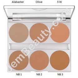  Dual Finish 6 Colors Cold Palette 