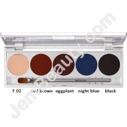  Kryolan Shades 5 London Palette 