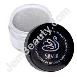  INM Acrylic Holo Silver .5 oz 