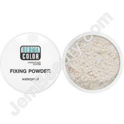  DC Fixing Powder P2 20 g 