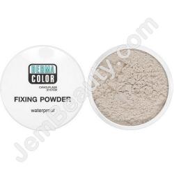  DC Fixing Powder PN1 20 g 