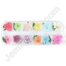  Nail Art Dried Flowers Mix 2 Set 