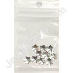  Snowflake Crystal Large 10pcs/Bag 