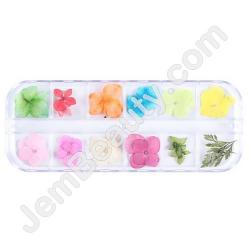  Nail Art Dried Flowers Mix 9 Set 