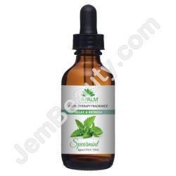  Fragrance Oil Spearmint 2 oz 