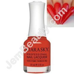  KS N593 Fancynator 15 ml 