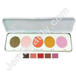  Kryolan Blusher 5 Colors MATT Palette 