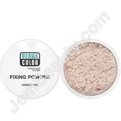  DC Fixing Powder P3 20 g 