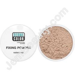  DC Fixing Powder P5 20 g 